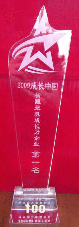 2009成長中國·新疆最具成長力企業獎